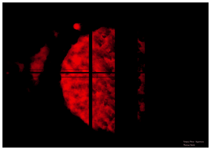 Impression : "Tempus 3"